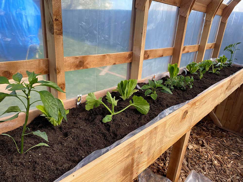 Fawn Lake Lumber Greenhouses